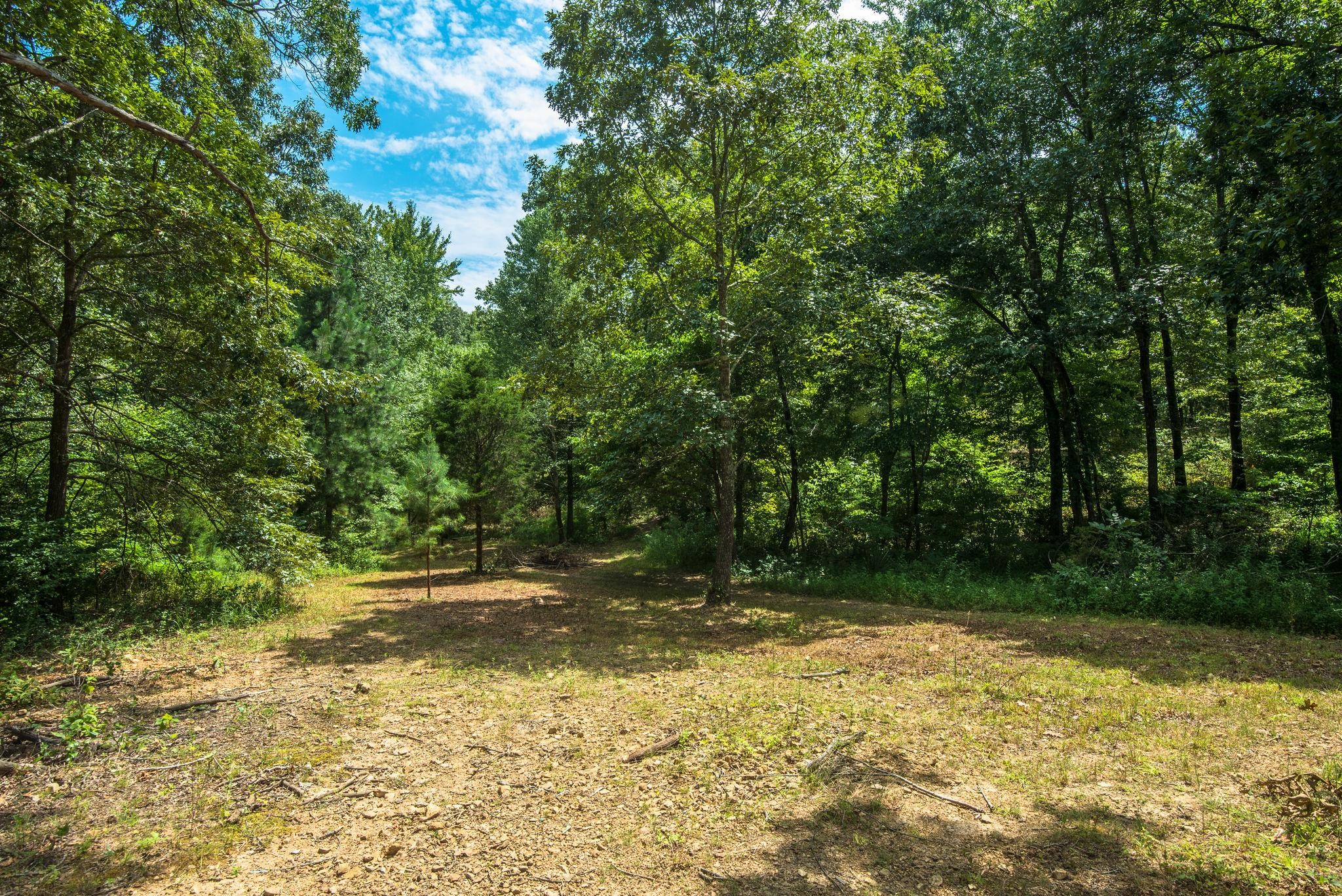 7387 Cavender Branch Road Lyles, TN 37098 - Photo 28 of 28 Gallery Image 28