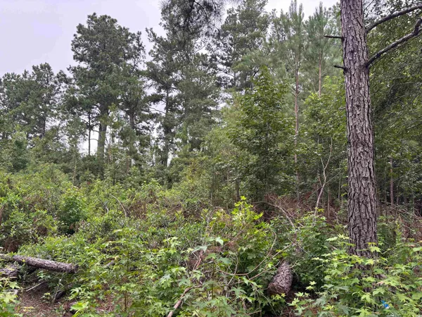 $12,000 | Lot 10 Mcgregor St Lake, Lake City, SC 29560