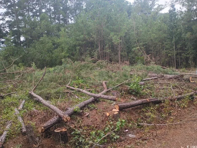 $12,000 | Lot 10 Mcgregor St Lake, Lake City, SC 29560