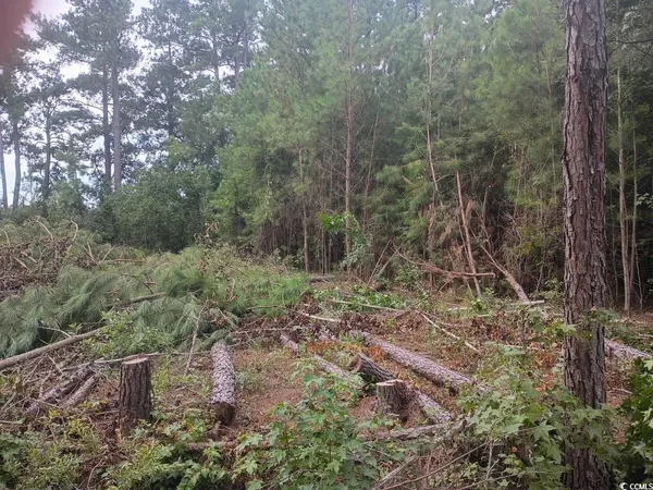 $12,000 | Lot 10 Mcgregor St Lake, Lake City, SC 29560