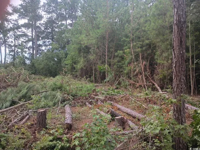 $12,000 | Lot 10 Mcgregor St Lake, Lake City, SC 29560