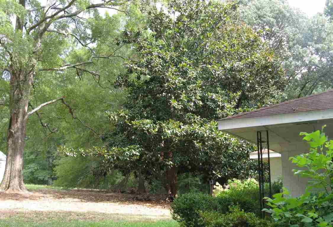 119 Good Hope Church Road Iva, SC 29655 - Photo 7 of 11 Gallery Image 7
