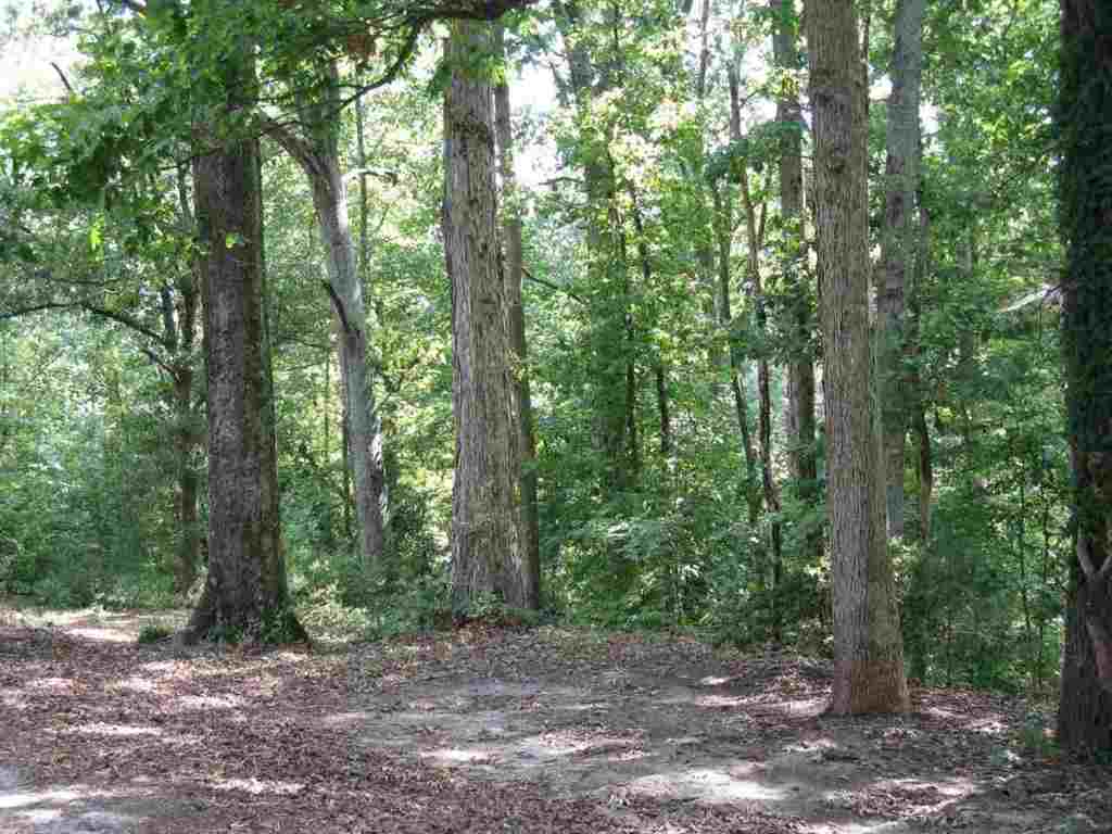 119 Good Hope Church Road Iva, SC 29655 - Photo 8 of 11 Gallery Image 8