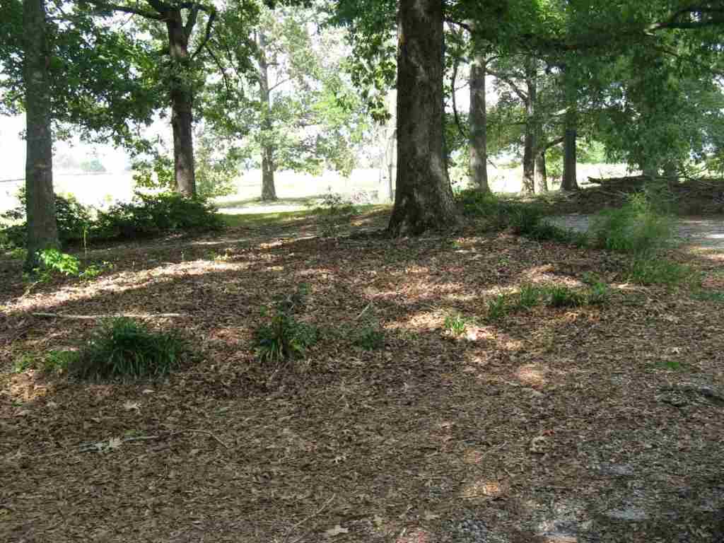 119 Good Hope Church Road Iva, SC 29655 - Photo 9 of 11 Gallery Image 9