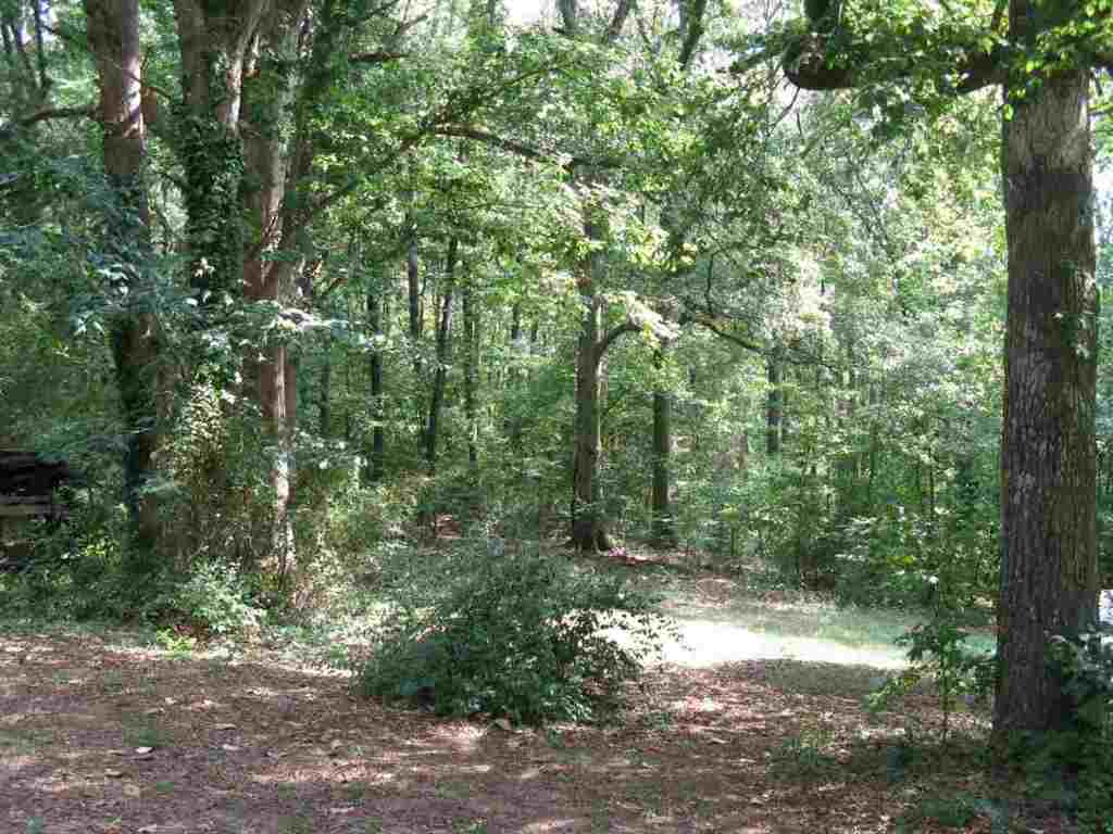 119 Good Hope Church Road Iva, SC 29655 - Photo 10 of 11 Gallery Image 10