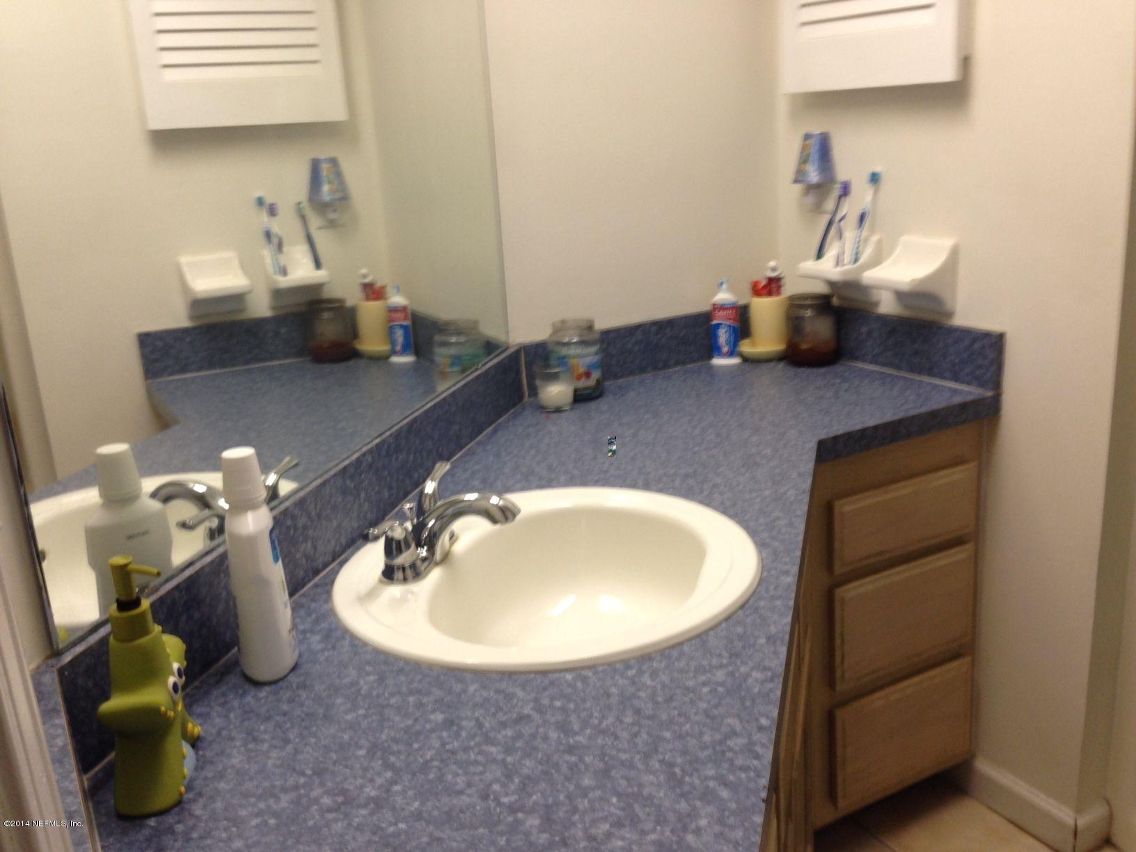 438 Federal Hill Road Orange Park, FL 32073 - Photo 10 of 14 a bathroom with a sink a mirror and potted plant