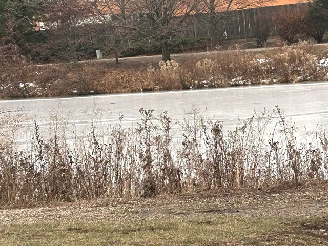 $2,200 | 122 Stirling Lane, Unit X2, Schaumburg, IL 60107