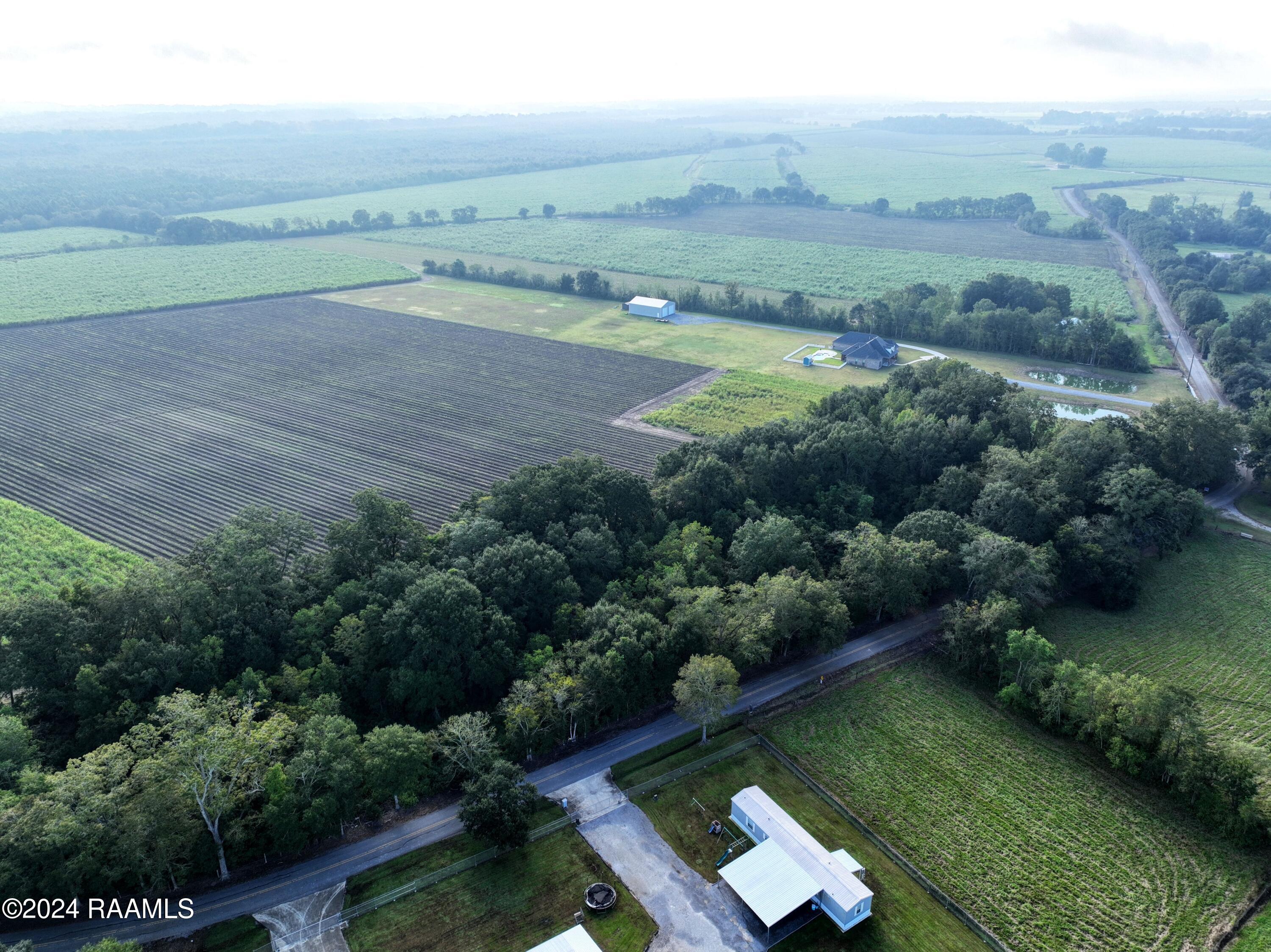 Tbd Delaloire Road St. Martinville, LA 70582 - Photo 4 of 8