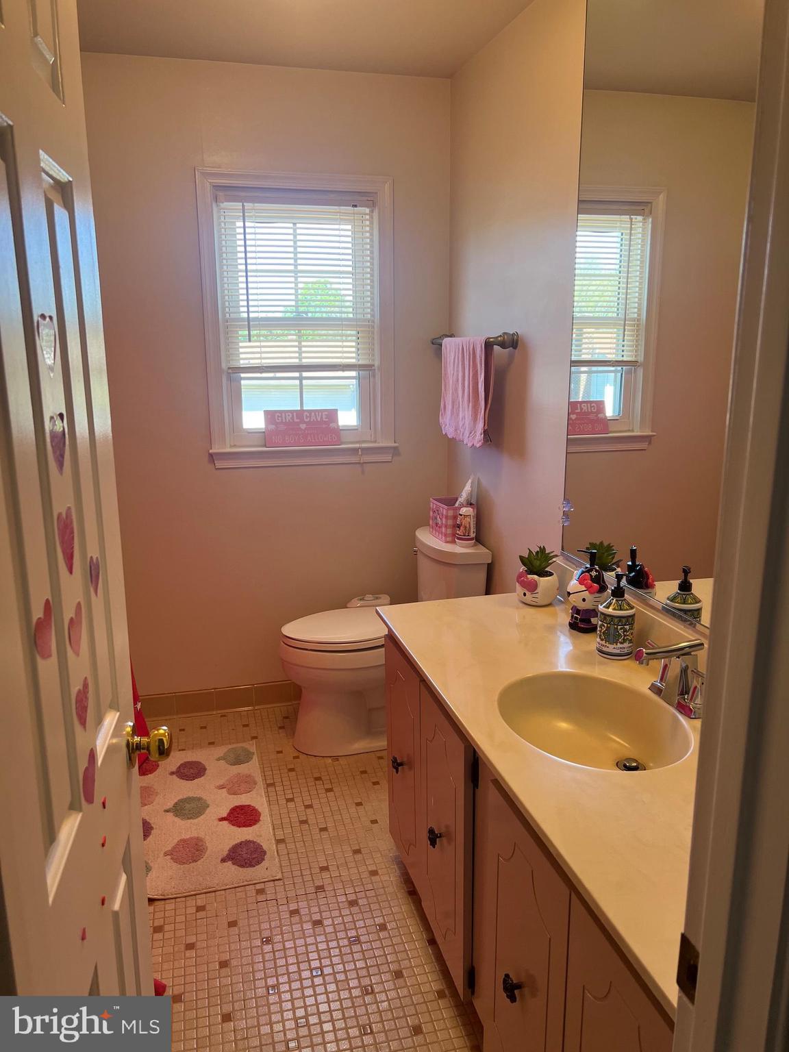 4082 Braxton Road Chantilly, VA 20151 - Photo 26 of 40 a bathroom with a sink toilet and mirror