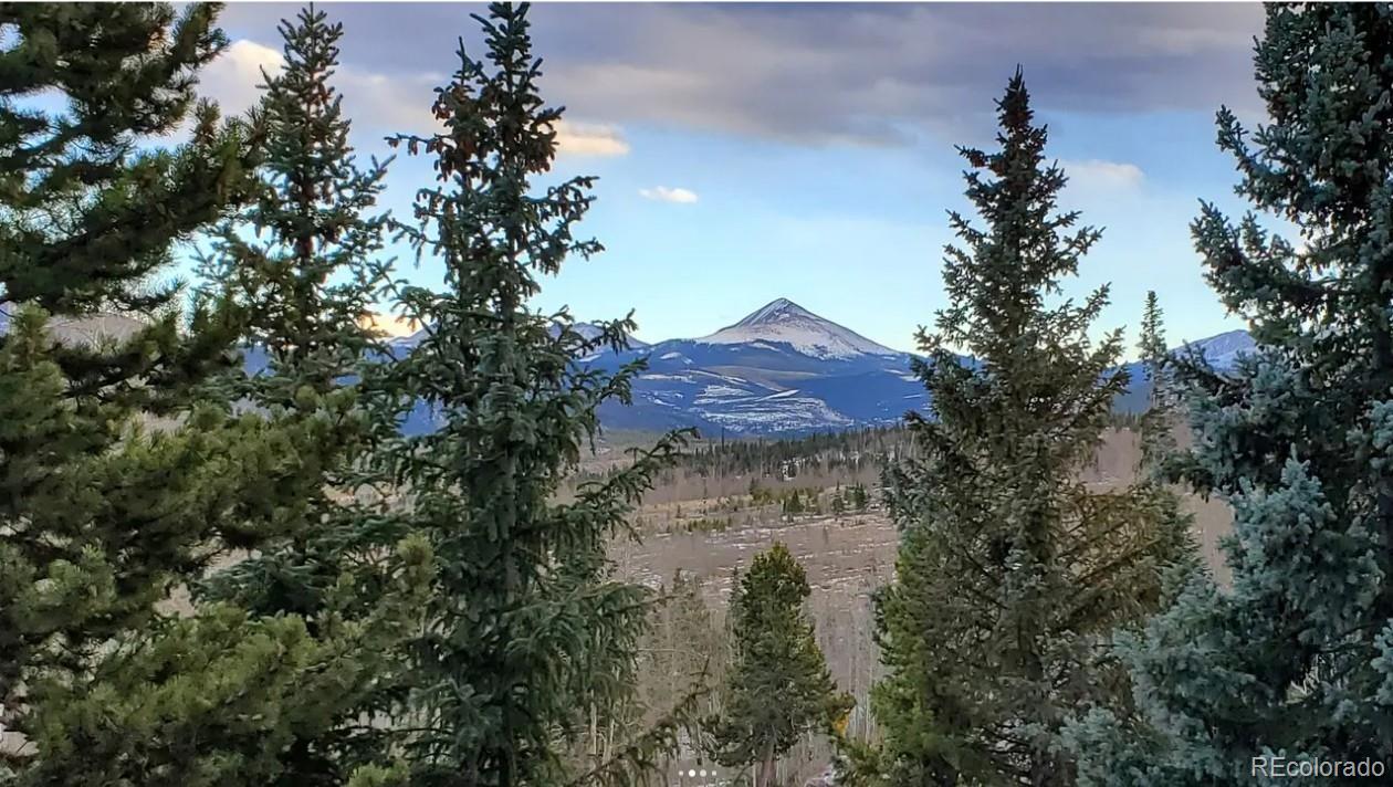 7223 Ryan Gulch Road Silverthorne, CO 80498 - Photo 13 of 20 a view of a tree with a yard