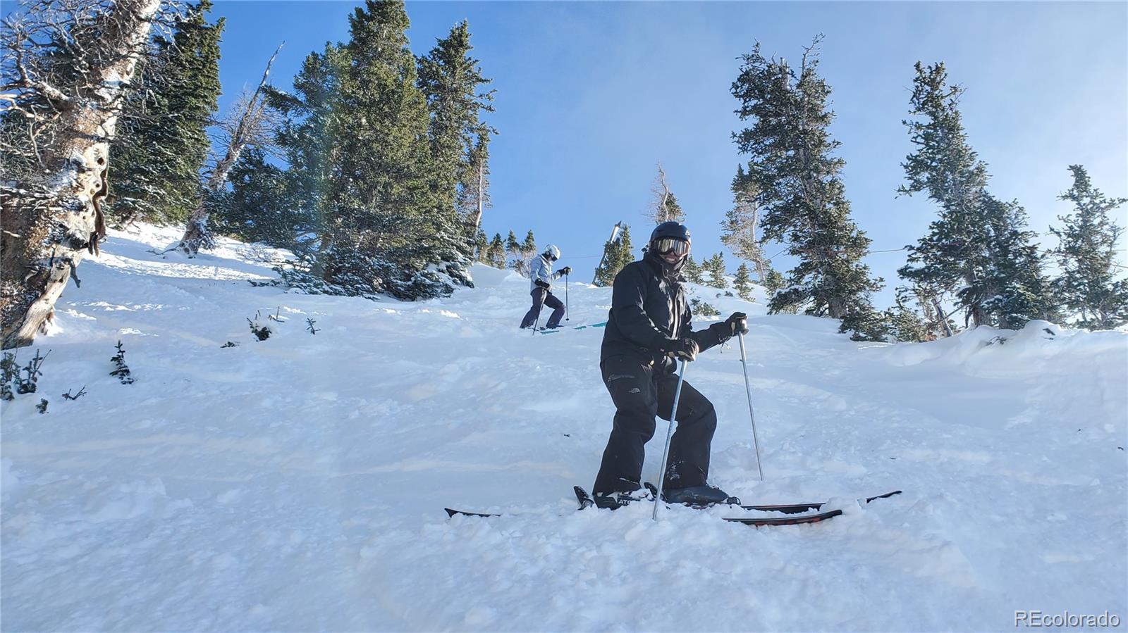 7223 Ryan Gulch Road Silverthorne, CO 80498 - Photo 19 of 20 a view of backyard space and trees