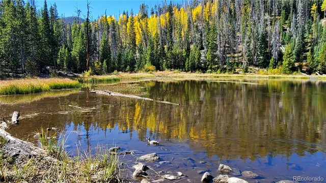 a view of swimming pool with a yard