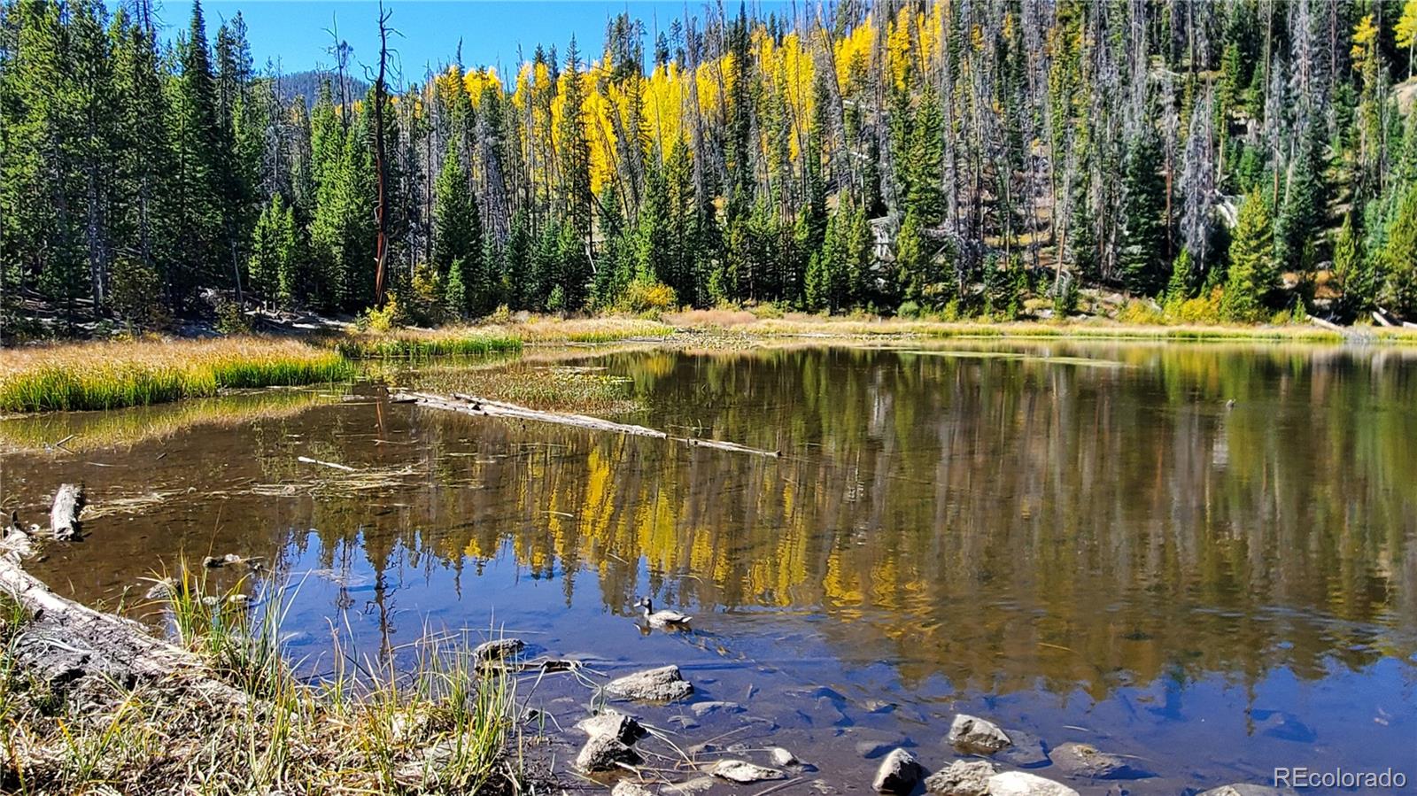 7223 Ryan Gulch Road Silverthorne, CO 80498 - Photo 20 of 20 a view of swimming pool with a yard