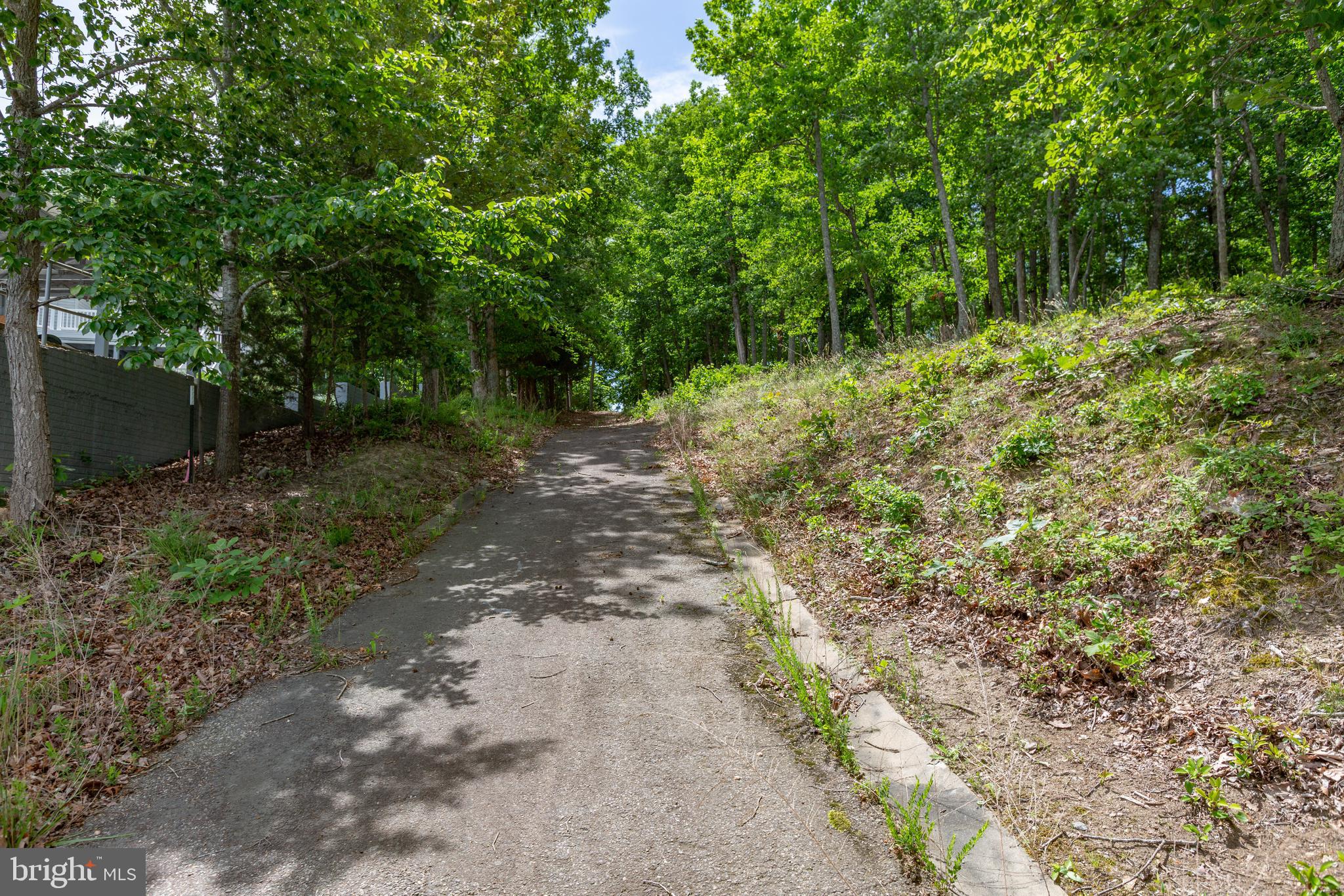 Old Mill Road Mineral, VA 23117 - Photo 9 of 15 Road easement heading away from lake