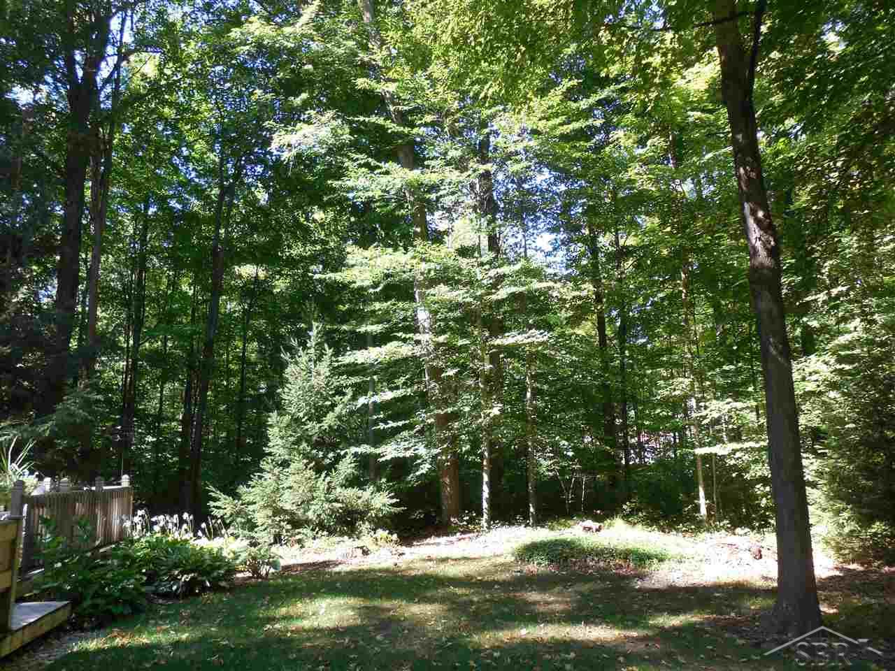 9041 Lange Road Birch Run, MI 48415 - Photo 62 of 75 31303330-61.JPG