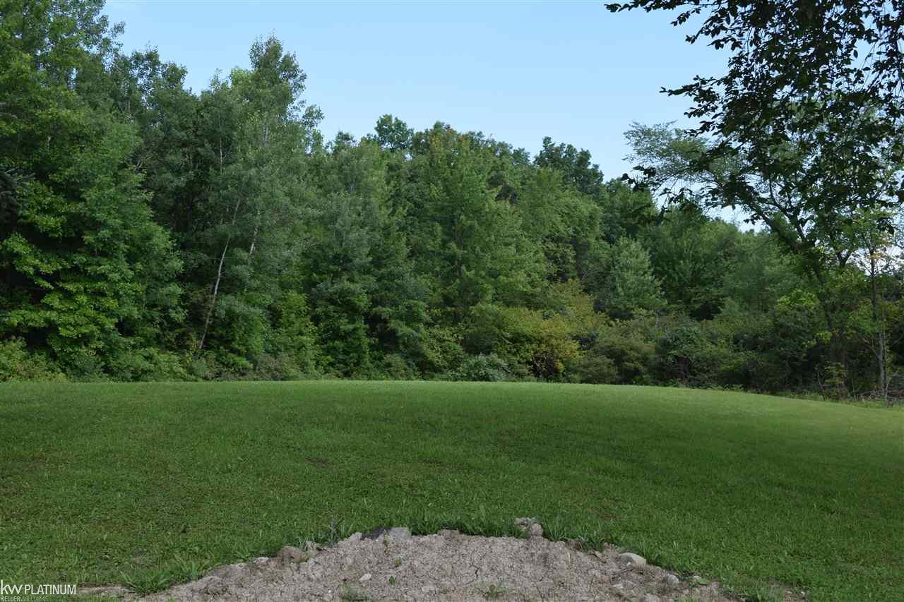 5138 Springborn Road East China, MI 48054 - Photo 24 of 25