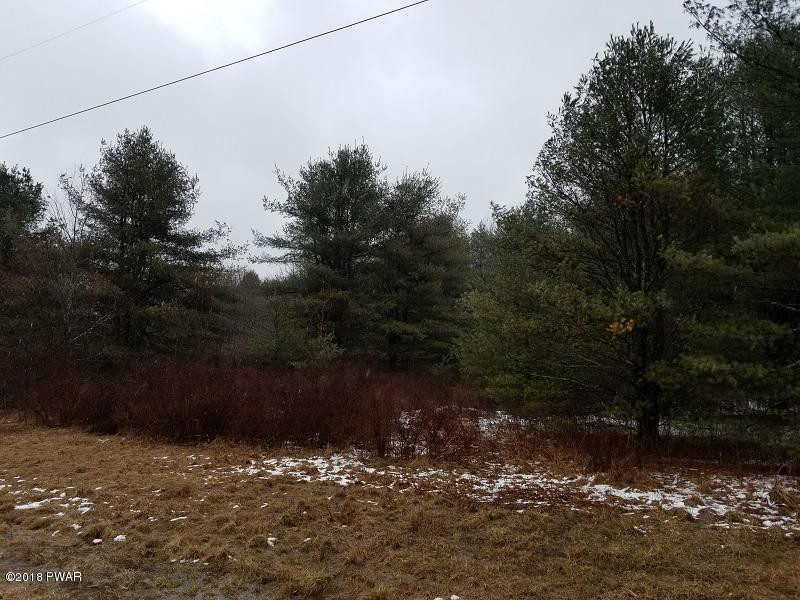 46.2 Eckes Road Narrowsburg, NY 12764 - Photo 6 of 7