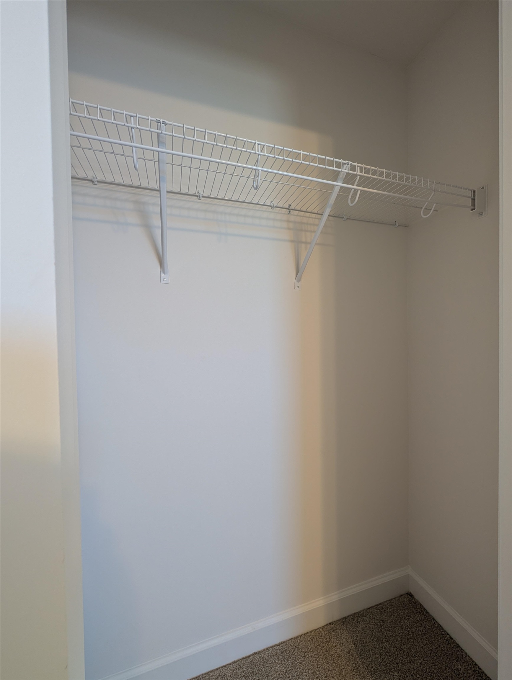 1508 Regal Fern Way Longs, SC 29568 - Photo 15 of 38 View of closet