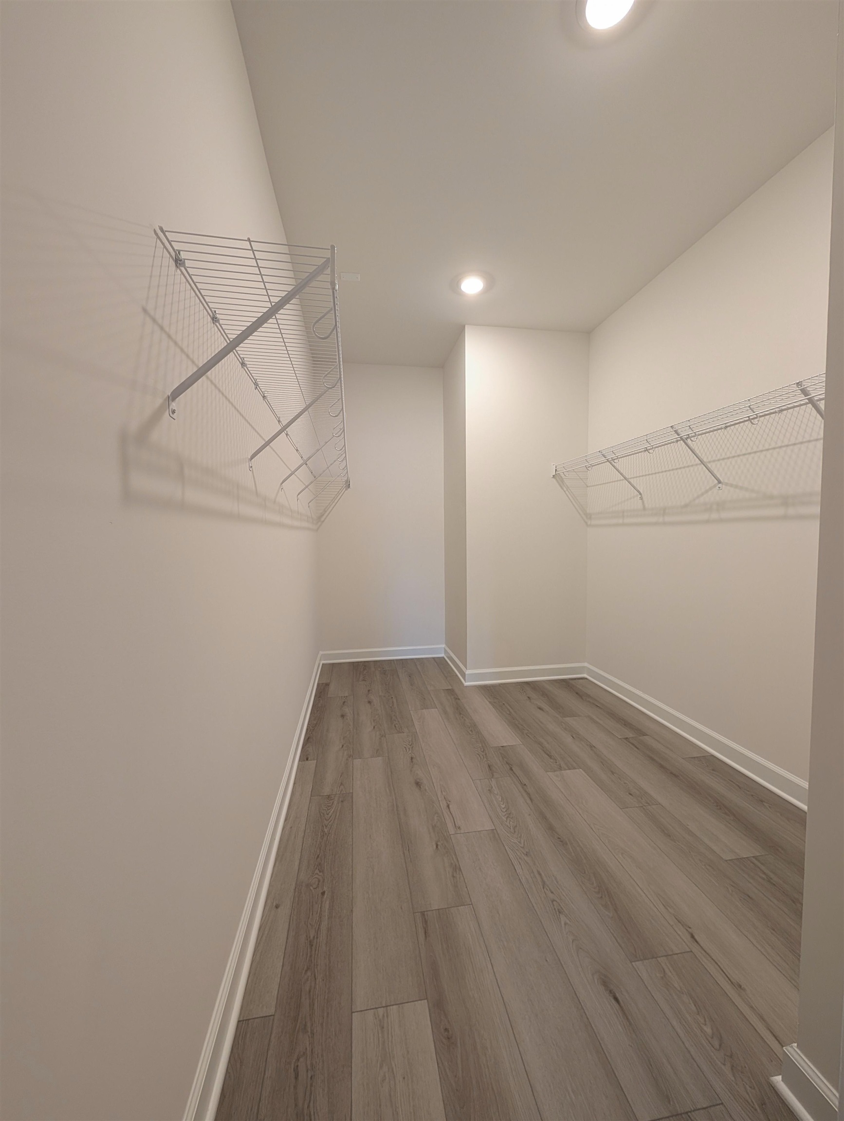1508 Regal Fern Way Longs, SC 29568 - Photo 21 of 38 Walk in closet with light wood-style floors