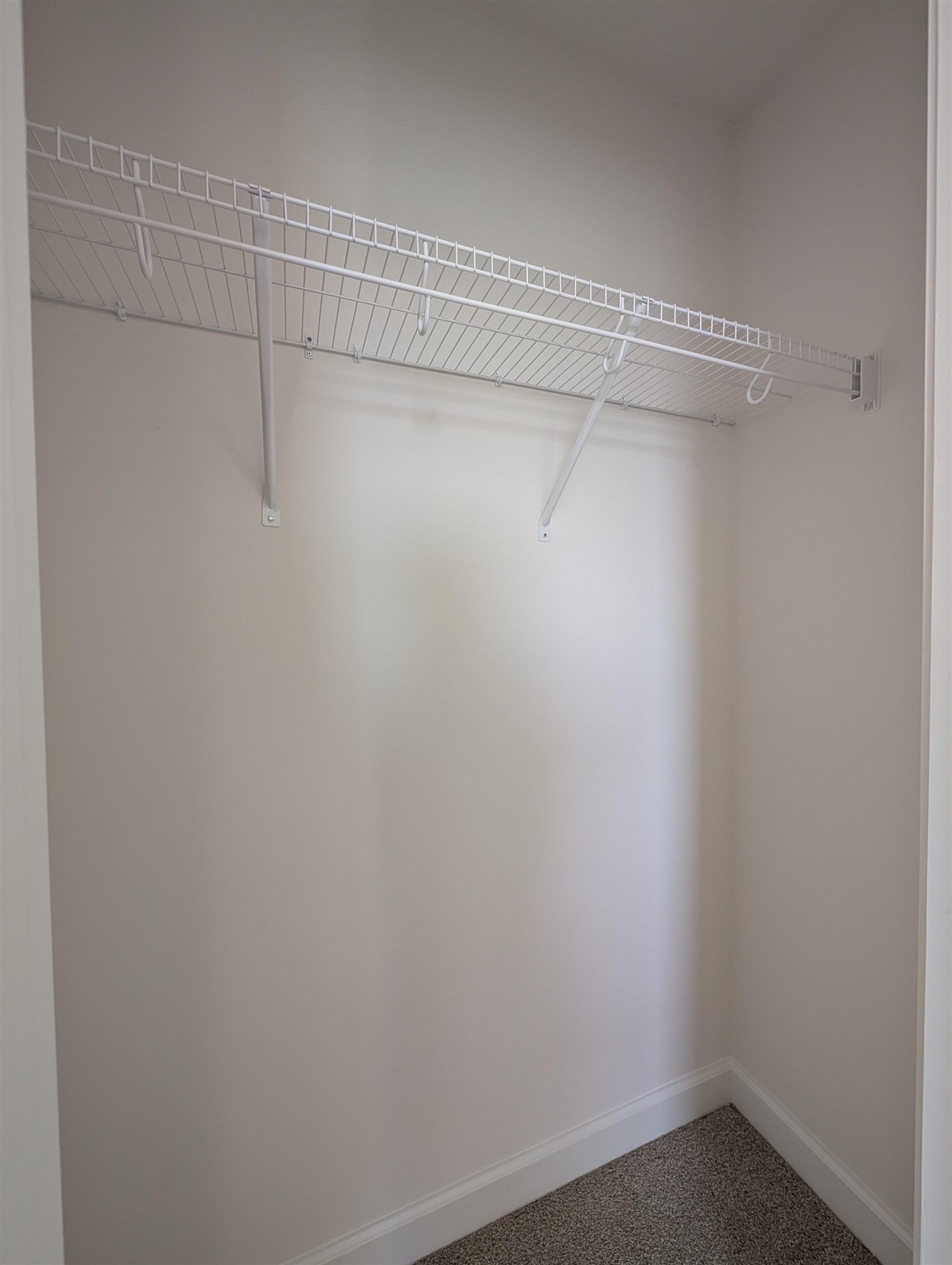 1508 Regal Fern Way Longs, SC 29568 - Photo 32 of 38 Walk in closet with carpet flooring