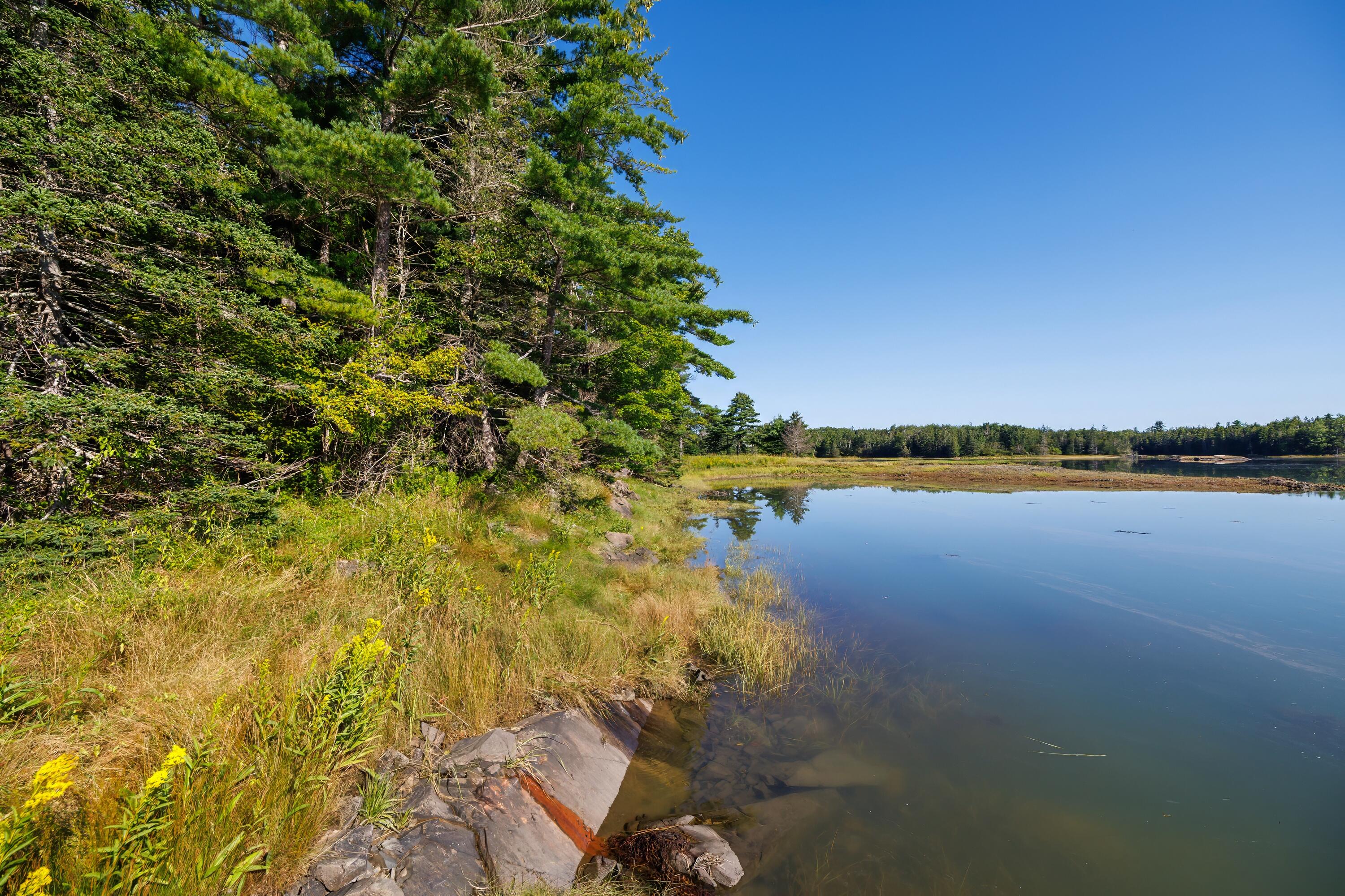 Lot 12 Straight Bay Road Lubec, ME 04652 - Photo 6 of 42 4- Lot 12-B Straight Bay Road HiRes-DTP