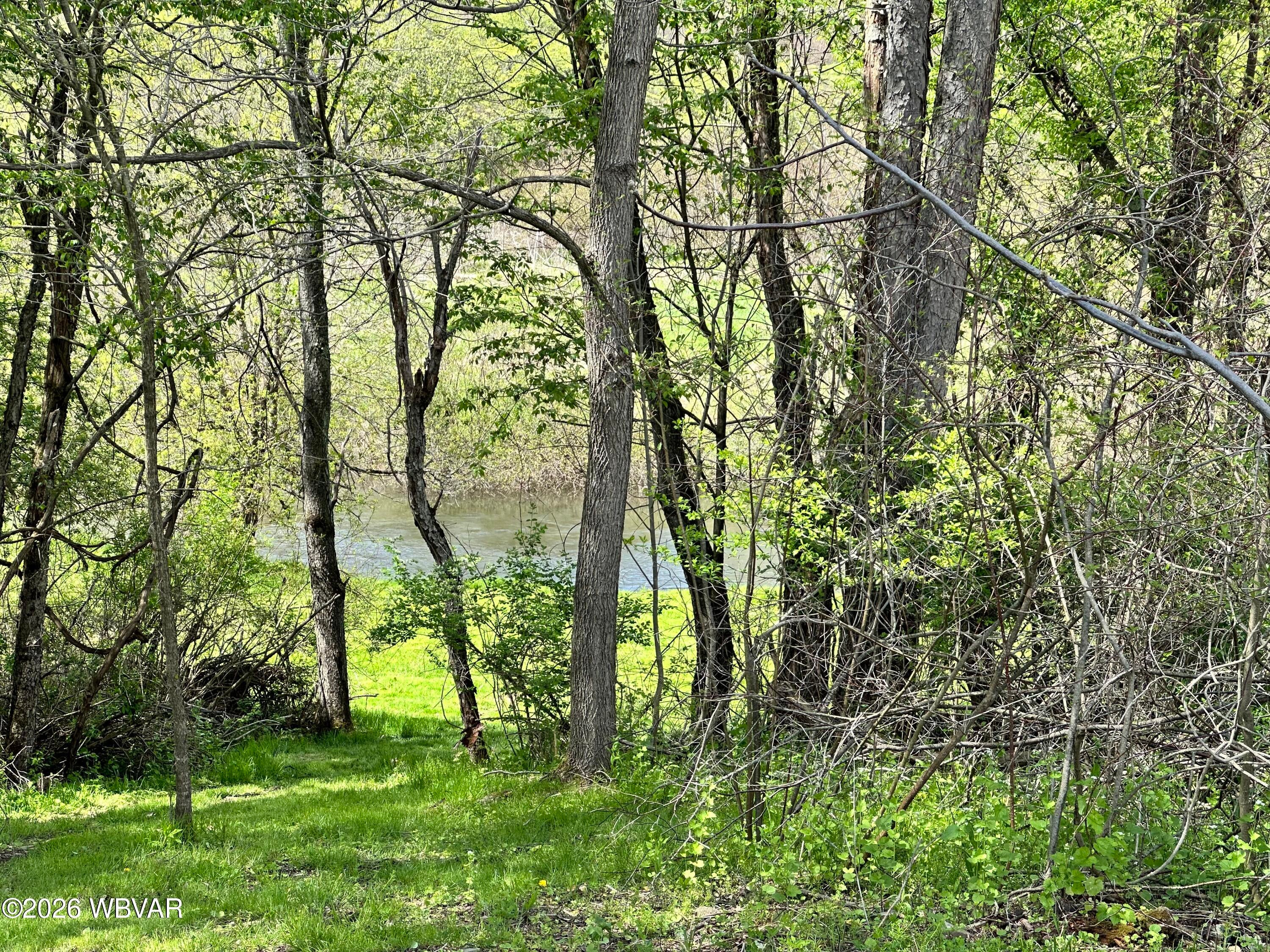 1105 Honeoye Road Shinglehouse, PA 16748 - Photo 25 of 59 IMG_2607