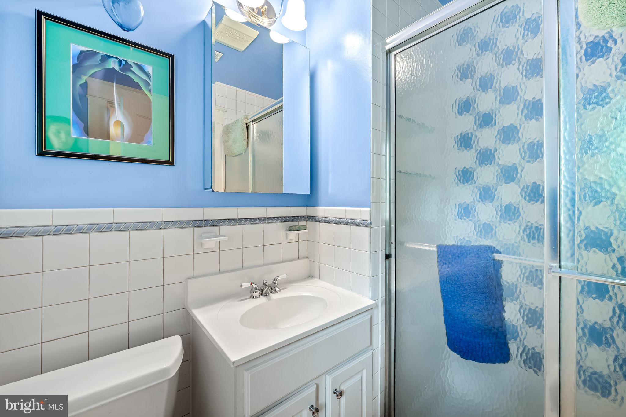 305 Tunbridge Road Baltimore, MD 21212 - Photo 38 of 58 a bathroom with a sink and a mirror