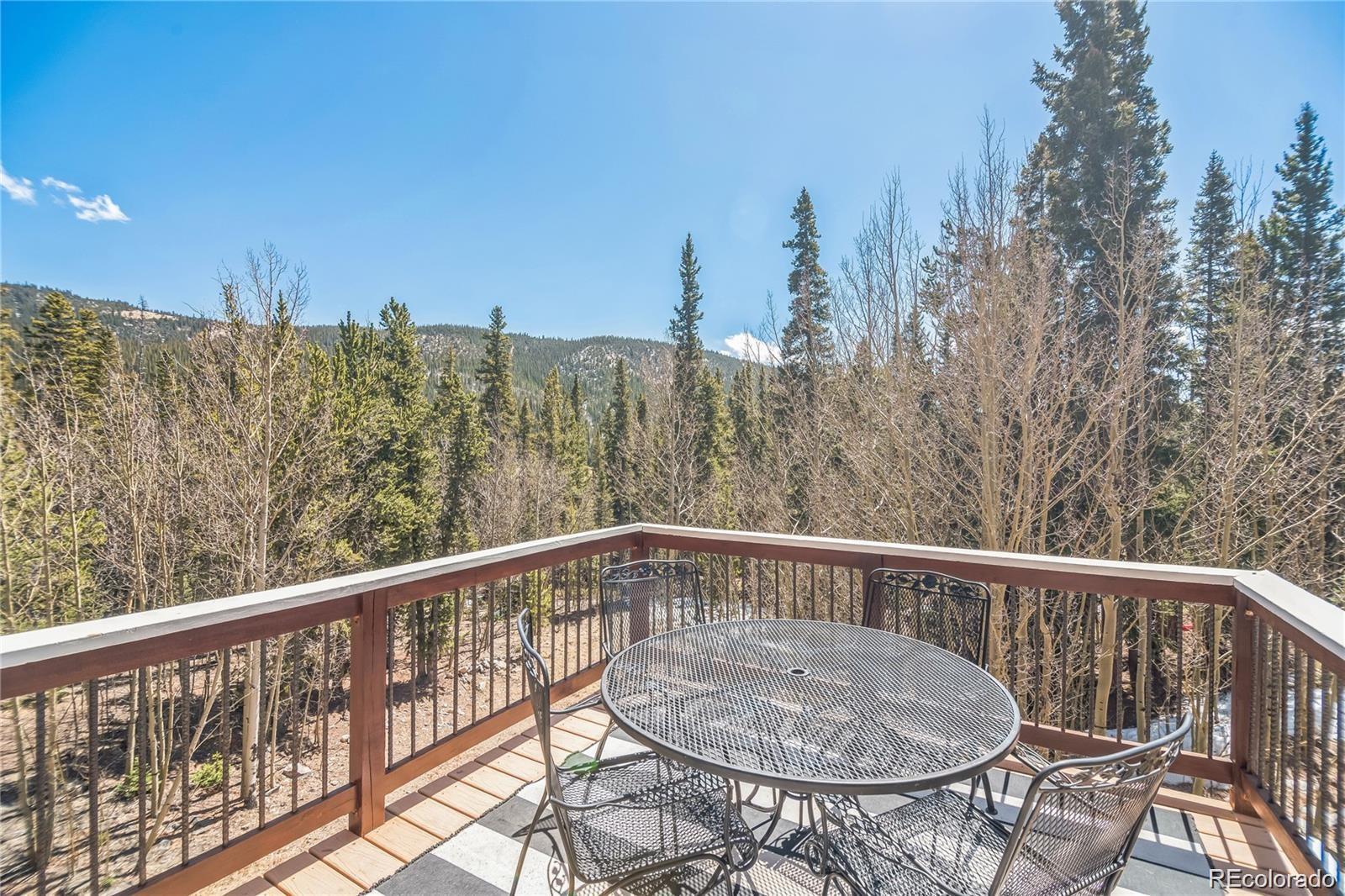 496 Quartzville Road Alma, CO 80420 - Photo 25 of 25