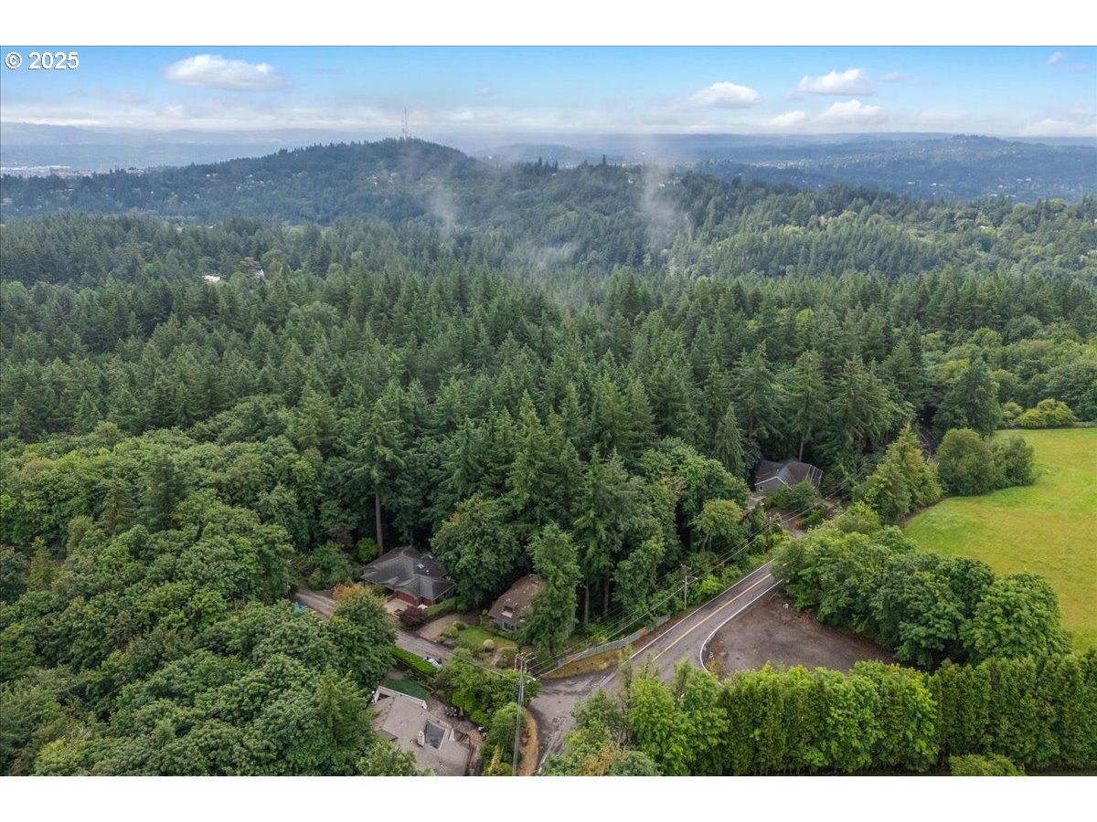 906 Southwest Skyline Boulevard Portland, OR 97221 - Photo 11 of 12 a view of a lush green forest with trees and some houses