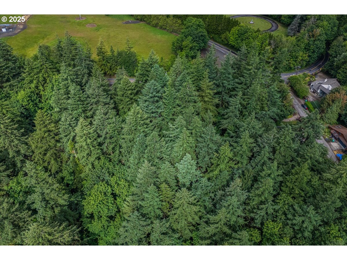 906 Southwest Skyline Boulevard Portland, OR 97221 - Photo 12 of 12 a view of a lush green forest with a houses