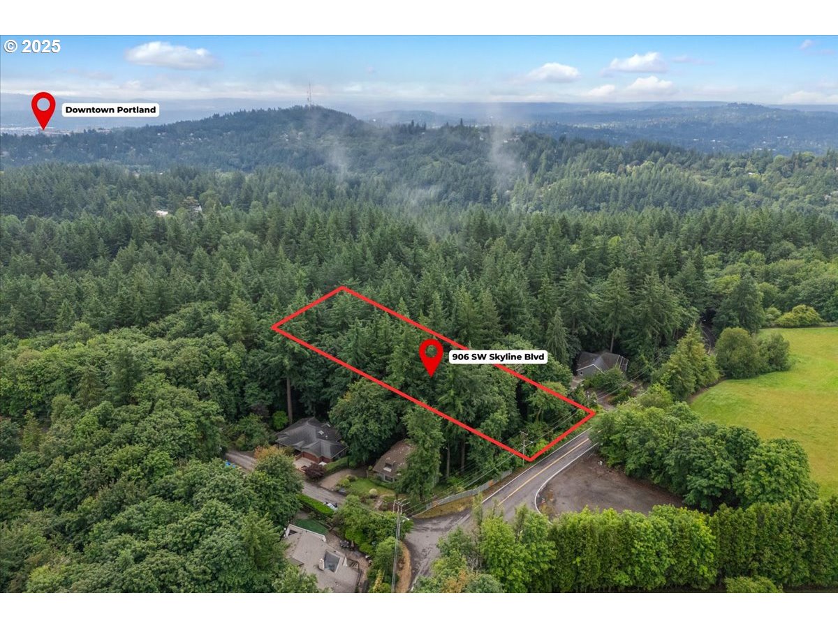 906 Southwest Skyline Boulevard Portland, OR 97221 - Photo 3 of 12 a view of a city with lush green forest
