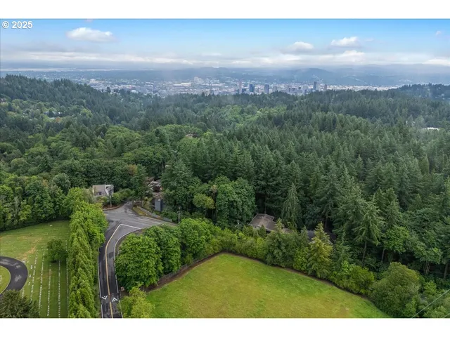 a view of a city and lush green forest