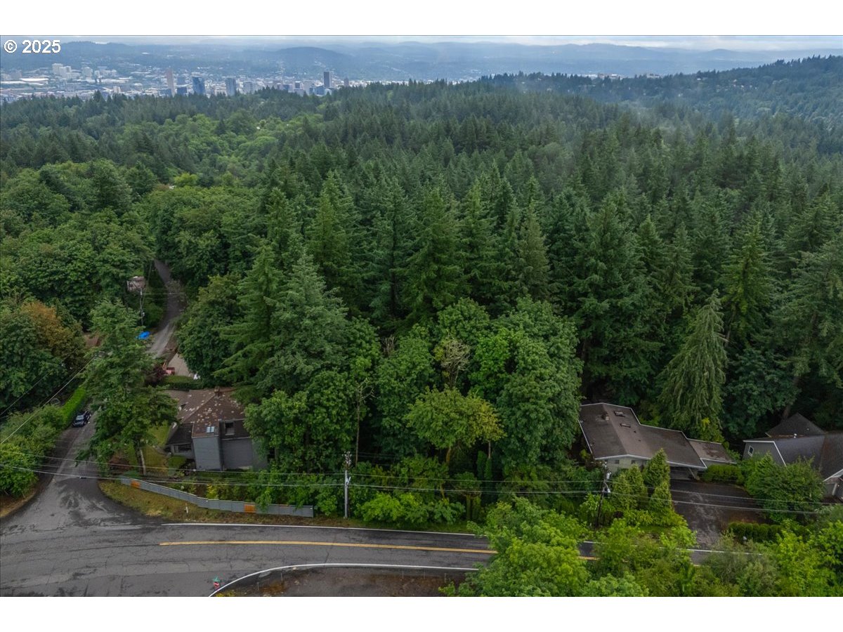 906 Southwest Skyline Boulevard Portland, OR 97221 - Photo 6 of 12 a view of a lush green forest with trees and some houses