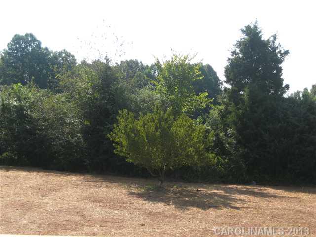 305 Springlake Road York, SC 29745 - Photo 15 of 16 a view of outdoor space and yard
