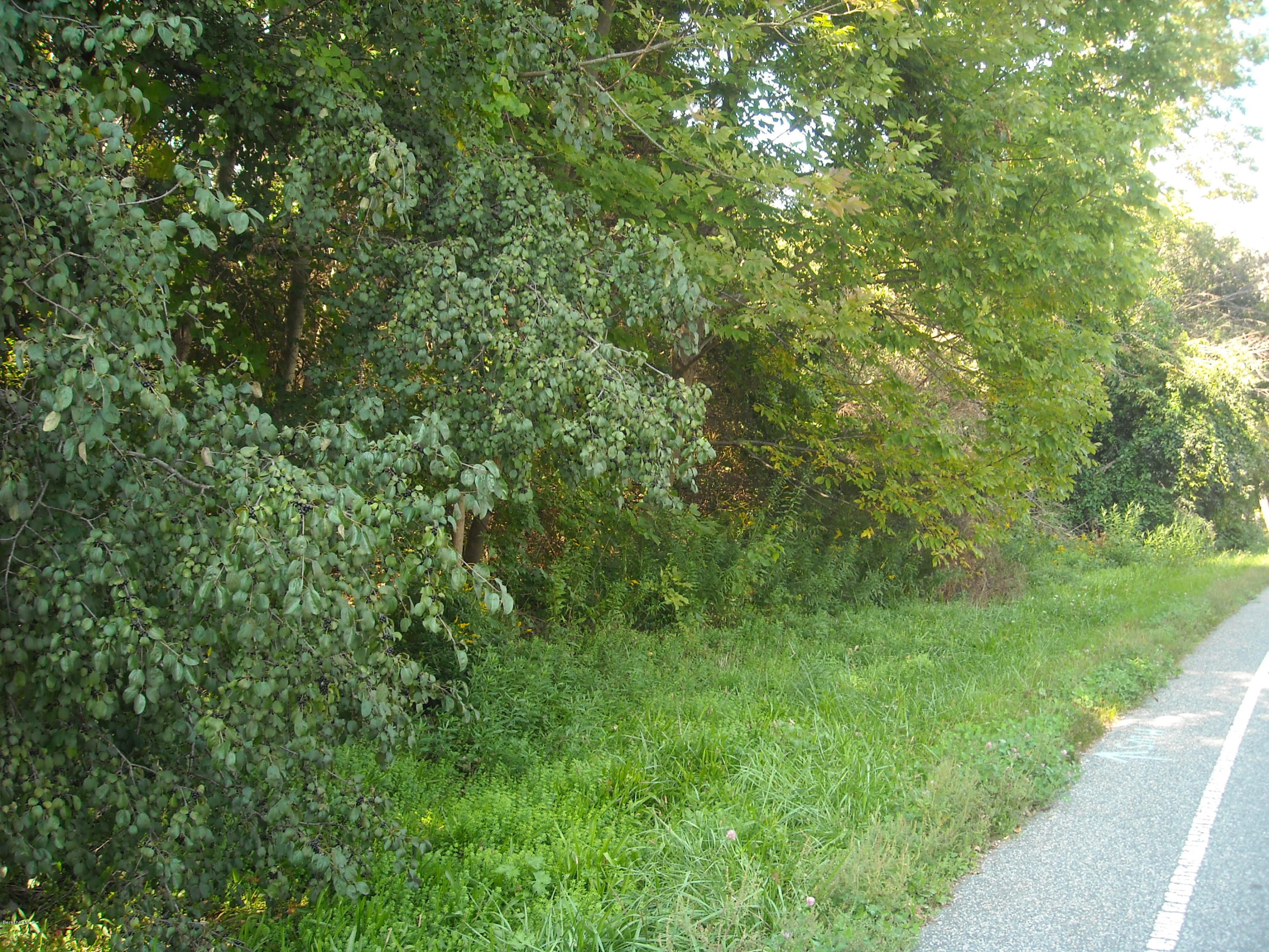 Interlaken Road West Stockbridge, MA 01266 - Photo 11 of 13 a view of a lush green space
