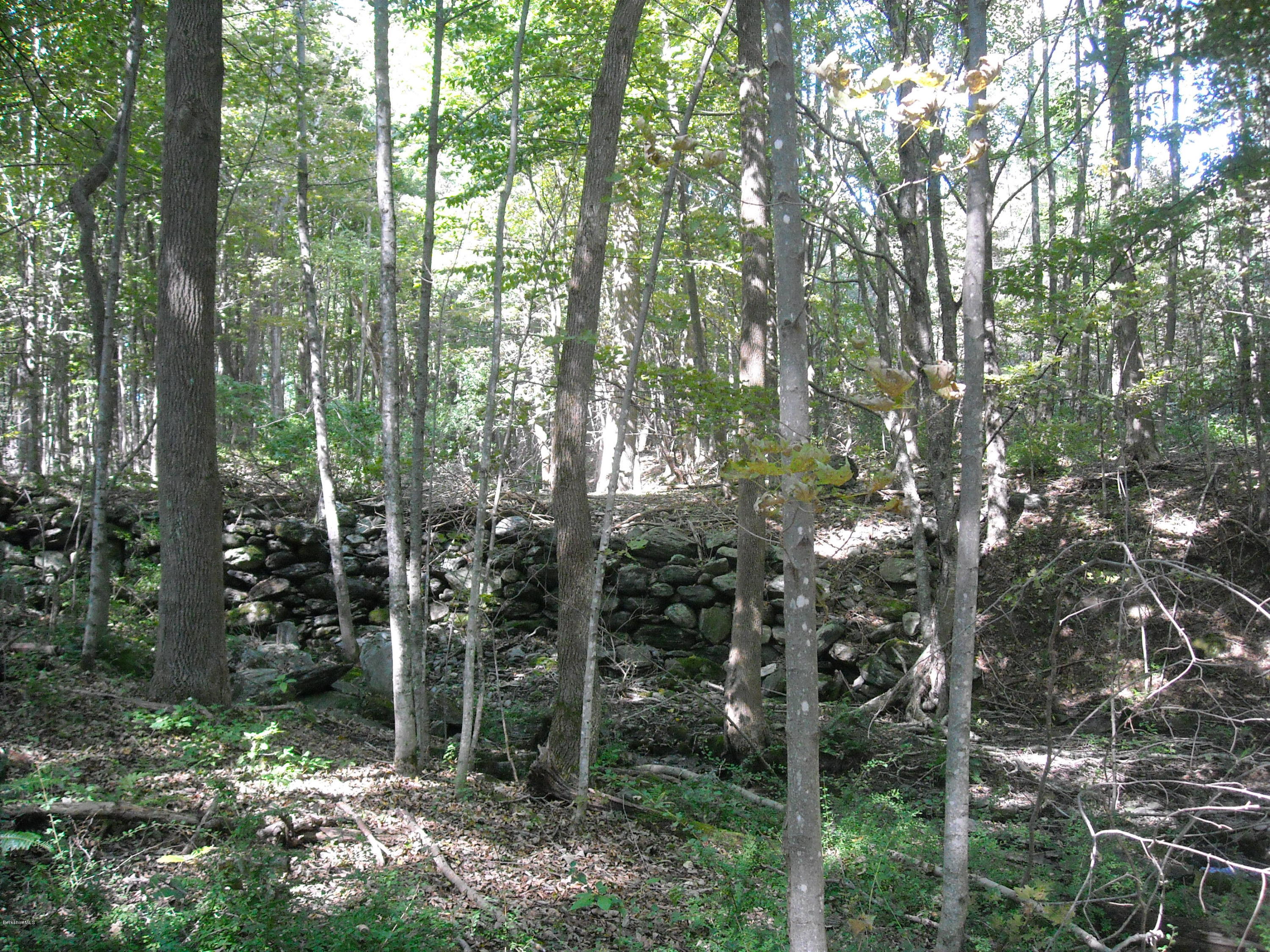 Interlaken Road West Stockbridge, MA 01266 - Photo 4 of 13 a view of forest