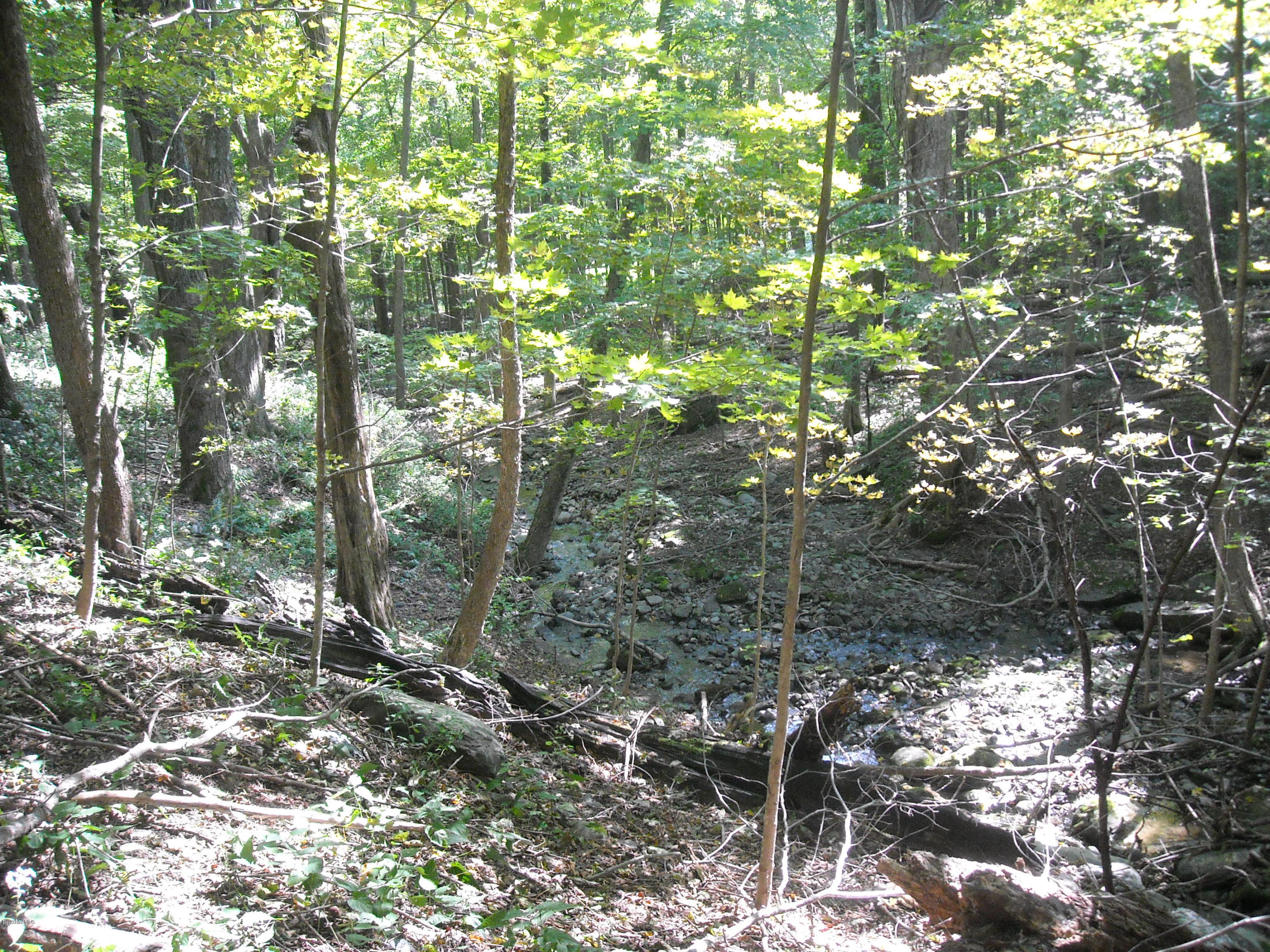 Interlaken Road West Stockbridge, MA 01266 - Photo 5 of 13 a view of forest