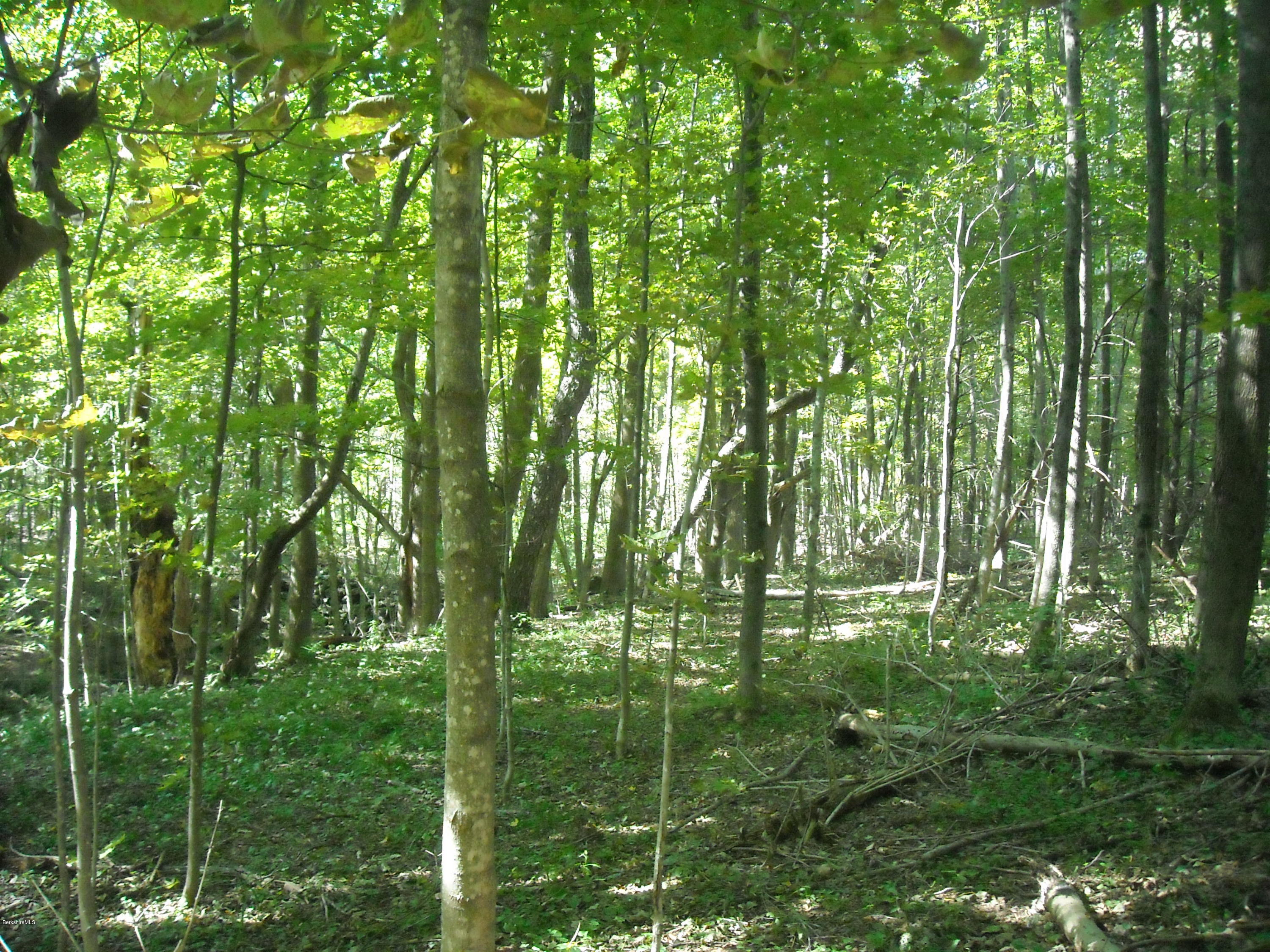 Interlaken Road West Stockbridge, MA 01266 - Photo 6 of 13 a backyard of a house with lots of green space