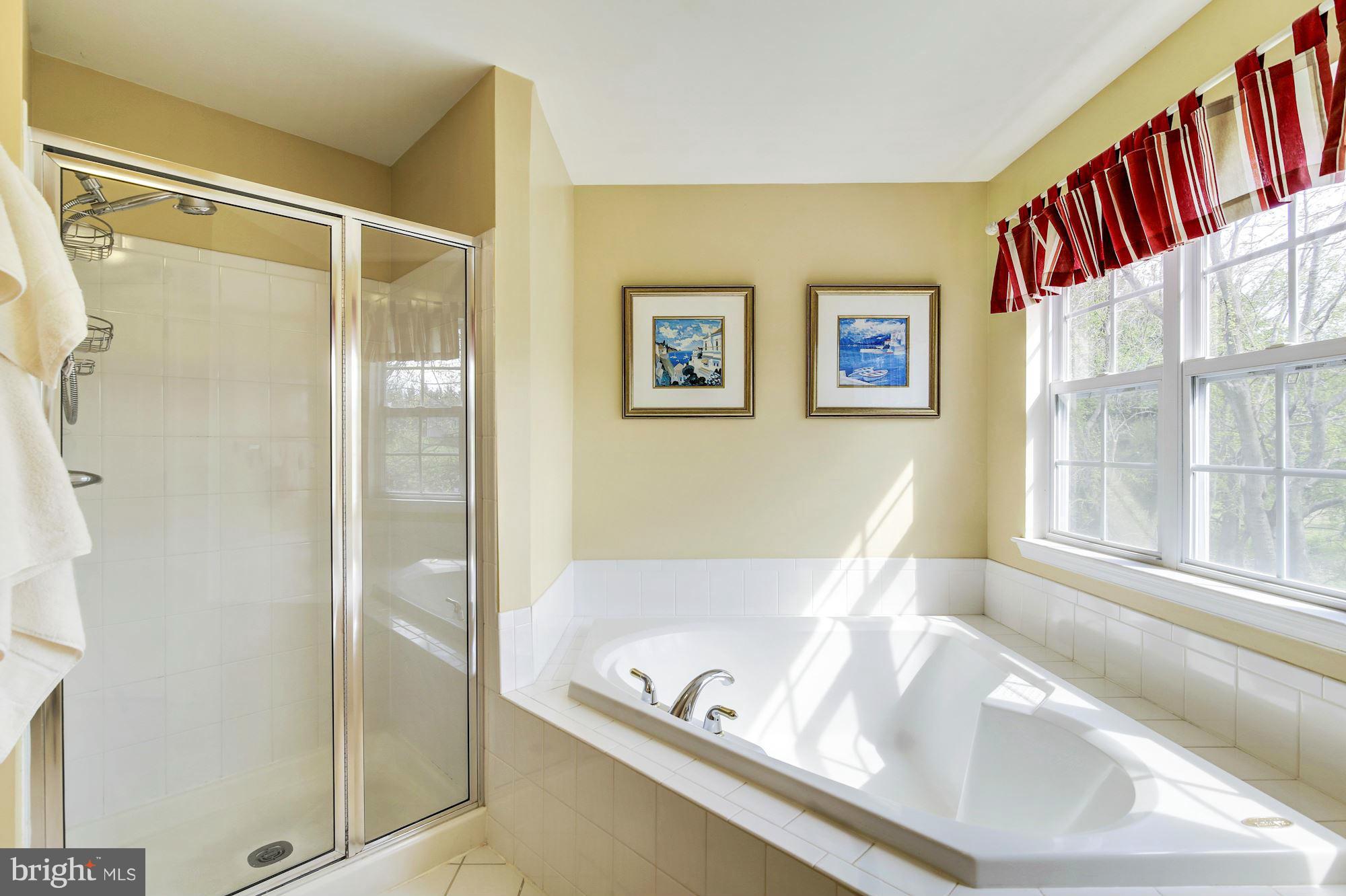 9530 Greenel Road Damascus, MD 20872 - Photo 21 of 30 Bath (Master)