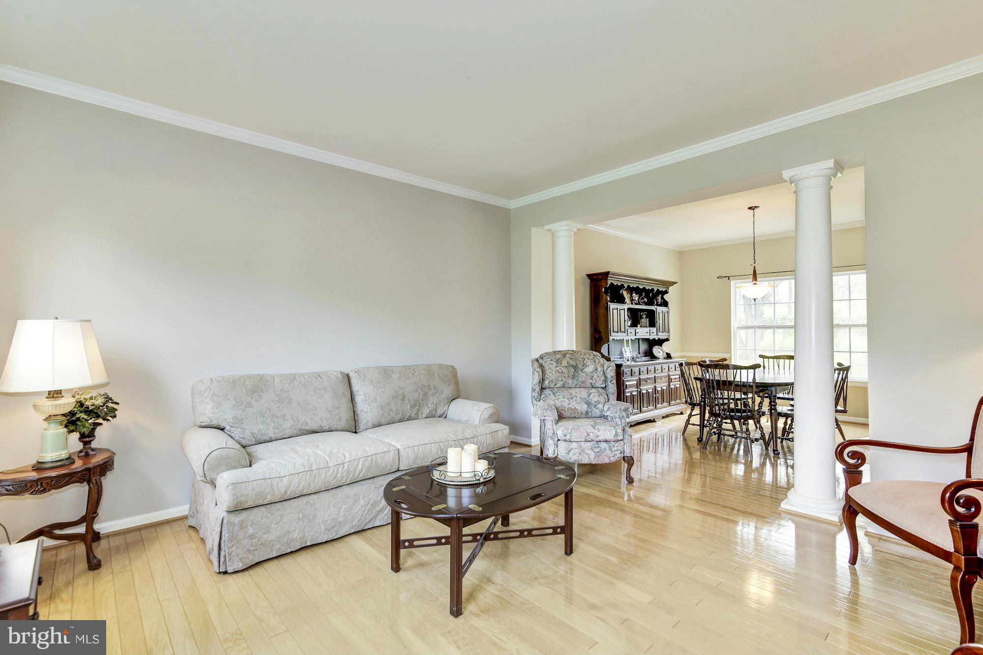 9530 Greenel Road Damascus, MD 20872 - Photo 4 of 30 Living Room