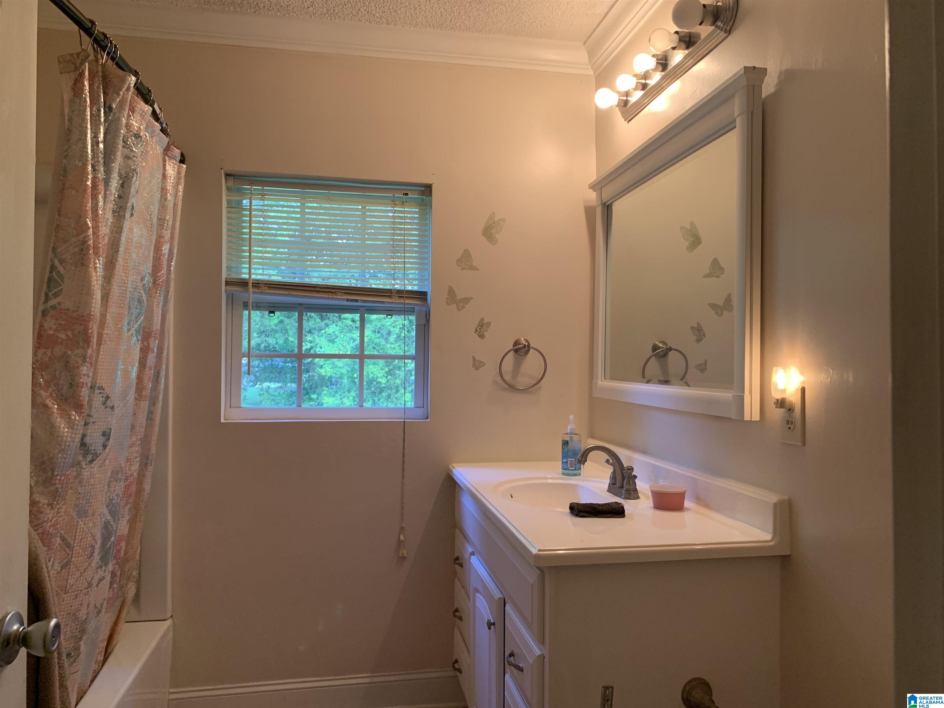 1103 Montevallo Road Southwest Leeds, AL 35094 - Photo 6 of 9