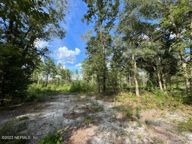 14030 Game Road Sanderson, FL 32087 - Photo 11 of 18 image10
