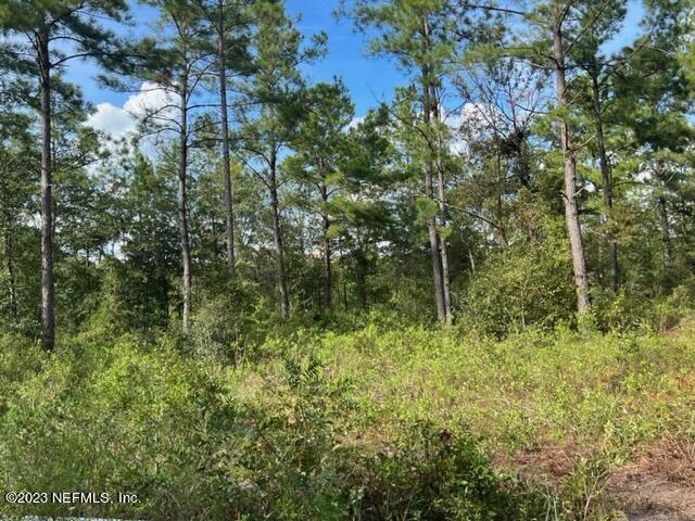 14030 Game Road Sanderson, FL 32087 - Photo 7 of 18 image6