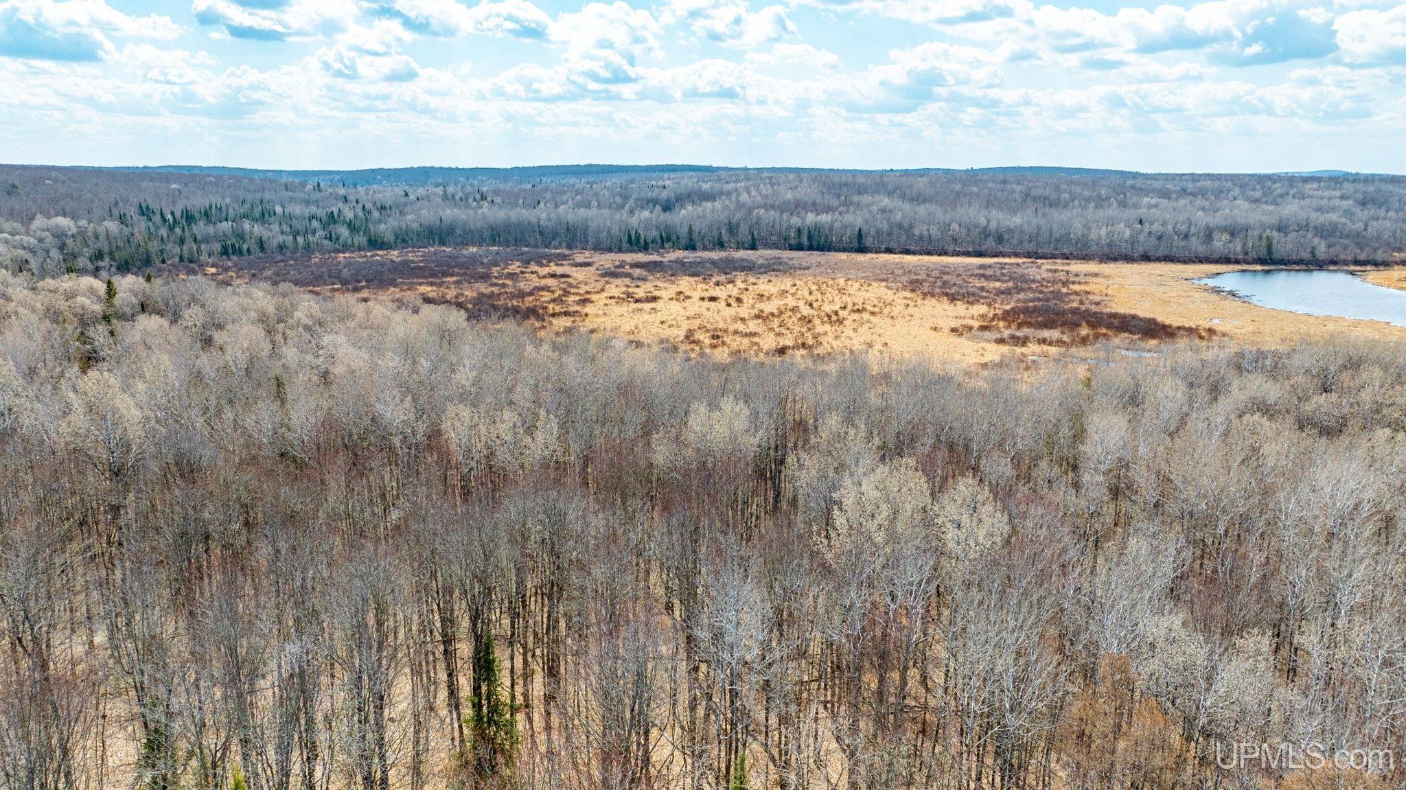 Tbd Passamani Road Iron River, MI 49935 - Photo 27 of 41