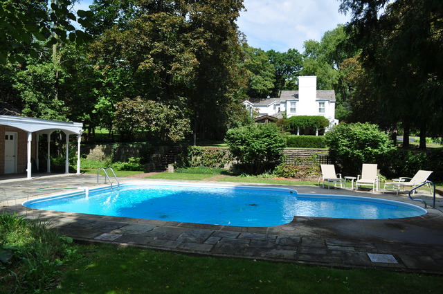 36W841 Crane Road St. Charles, IL 60174 - Photo 19 of 25 a view of pool with lawn chairs and couches