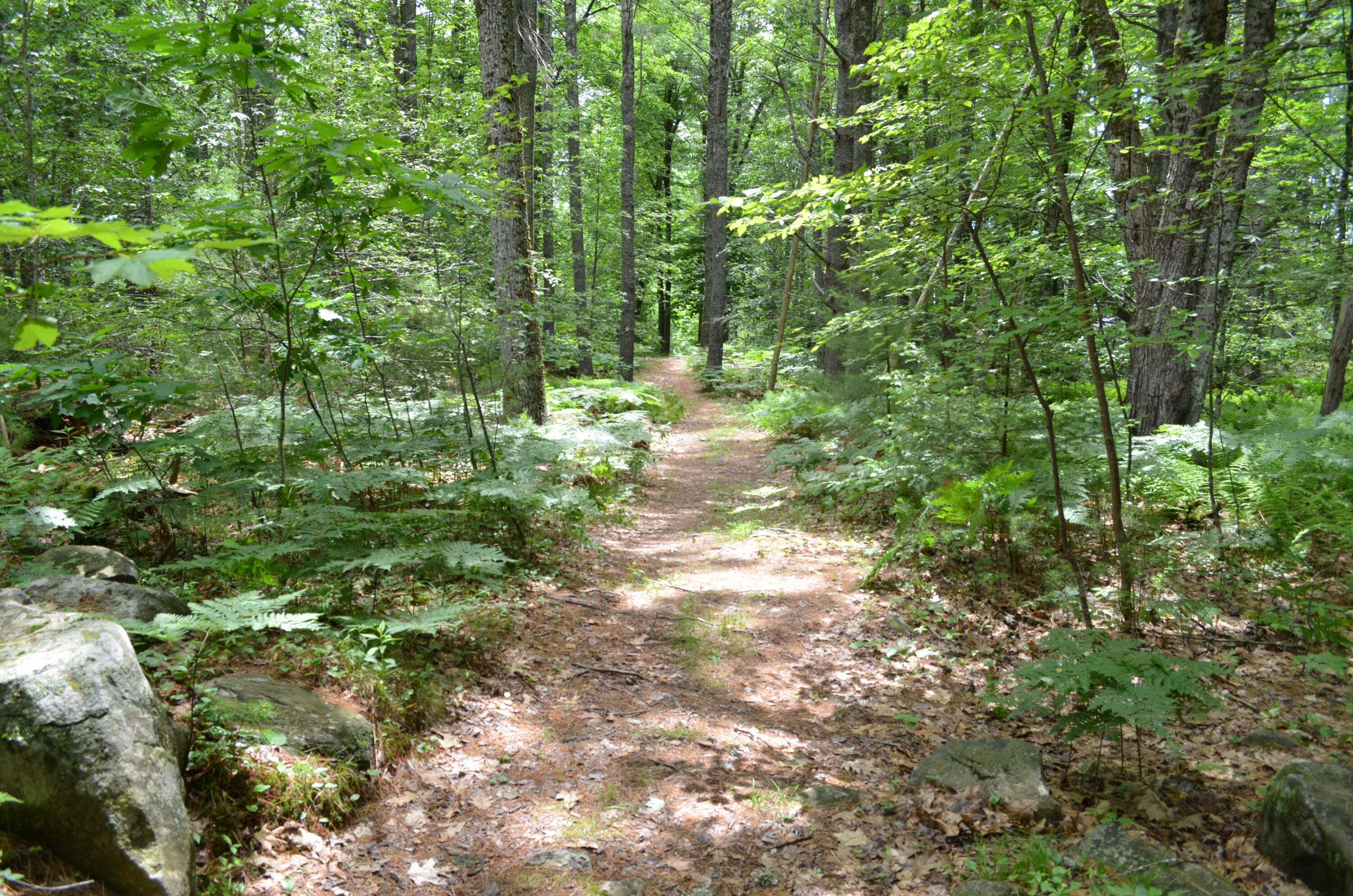1 Heron Cove Road Jefferson, ME 04348 - Photo 7 of 12