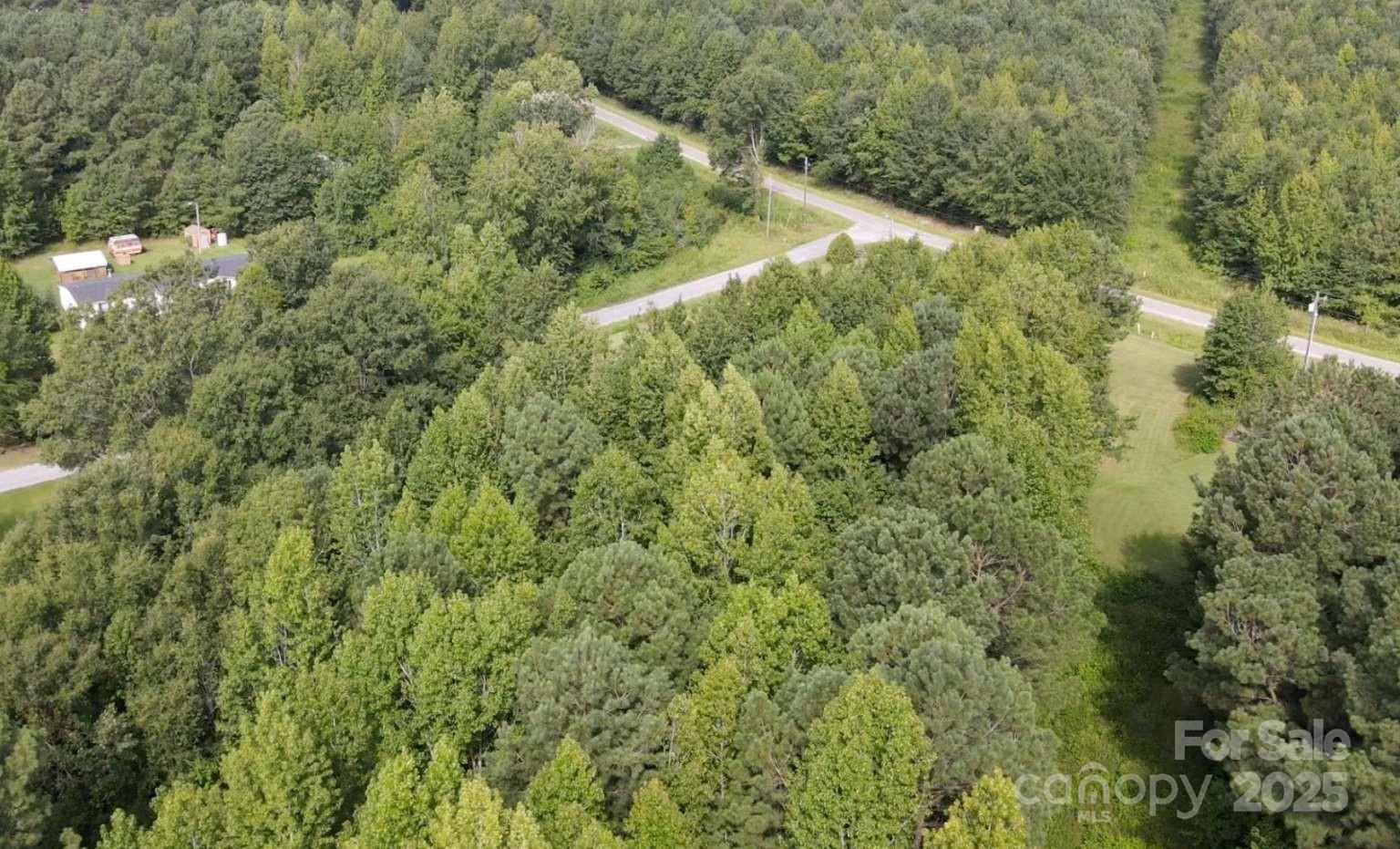 0 Sherrill Road Wallace, SC 29596 - Photo 5 of 5 a view of a forest with a tree