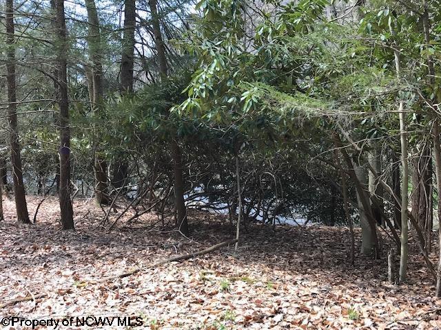 Tbd Woolen Mill Road Albright, WV 26519 - Photo 6 of 8 Gallery Image 6
