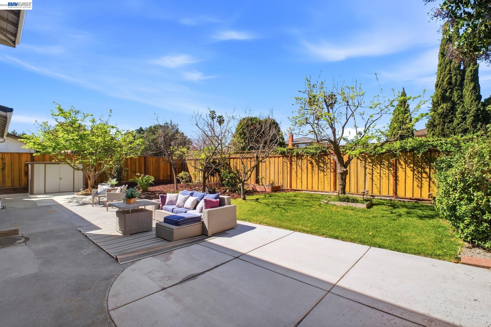 595 Seville Place Fremont, CA 94539 - Photo 32 of 43 a view of a backyard with plants and palm trees