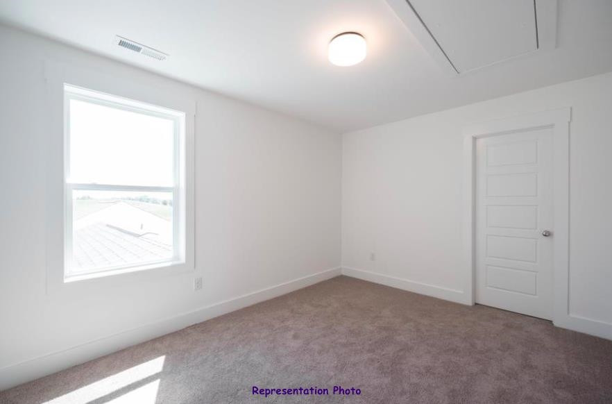 6415 Taylor Road, Unit 1720 Wendell, NC 27591 - Photo 16 of 18 Photo 16